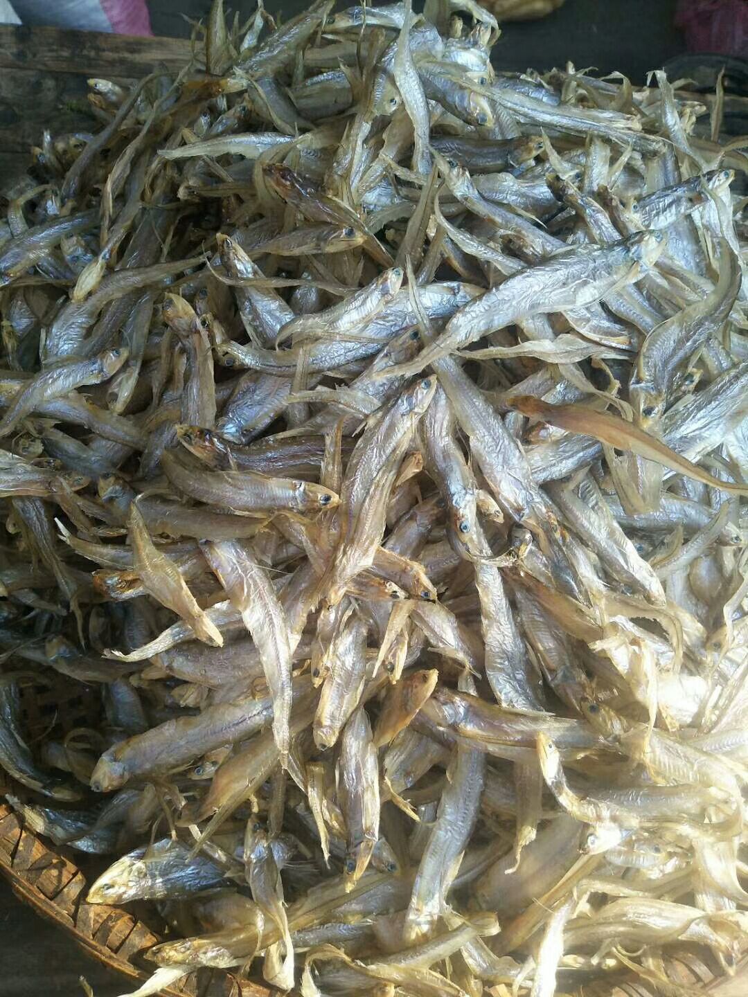 都昌县干毛刀鱼 淡水毛刀鱼凤尾鱼毛干干货无盐