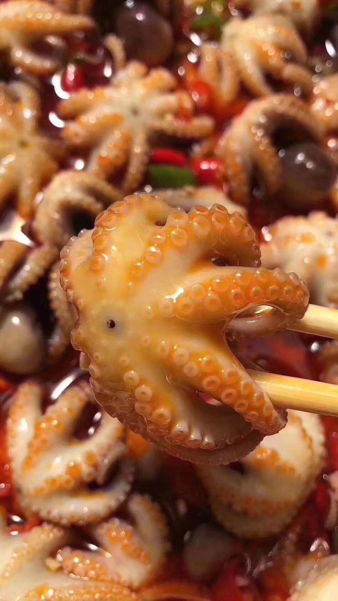 麻辣小八爪 麻辣八爪鱼