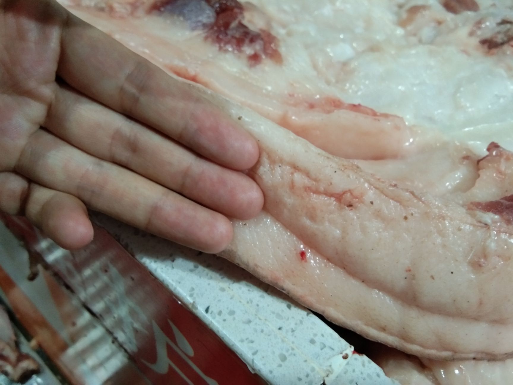 猪板油 肥膘大块儿肥肉