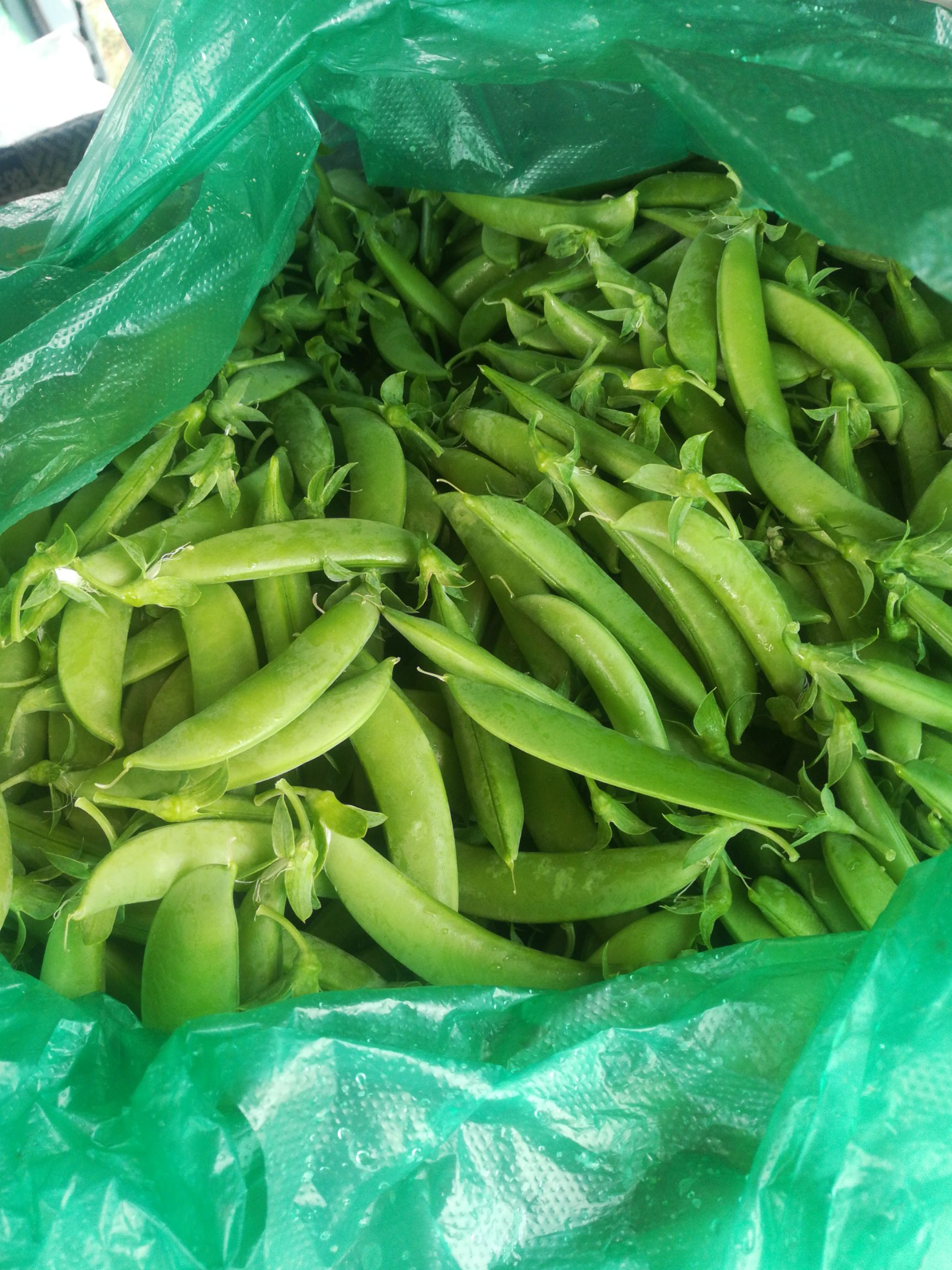 甜脆豌豆 新鲜甜豆,荷兰豆