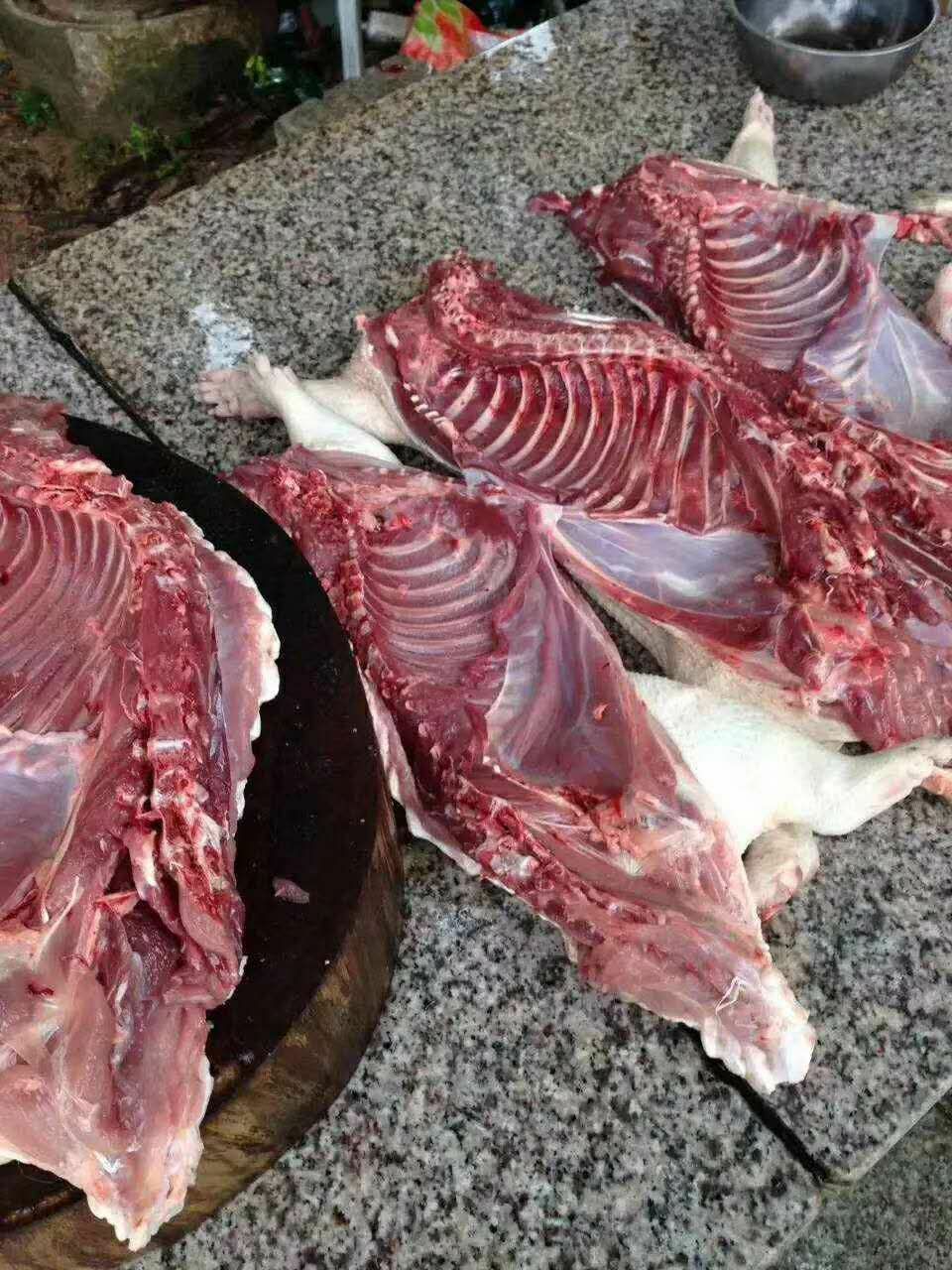 豪猪肉 商品豪猪