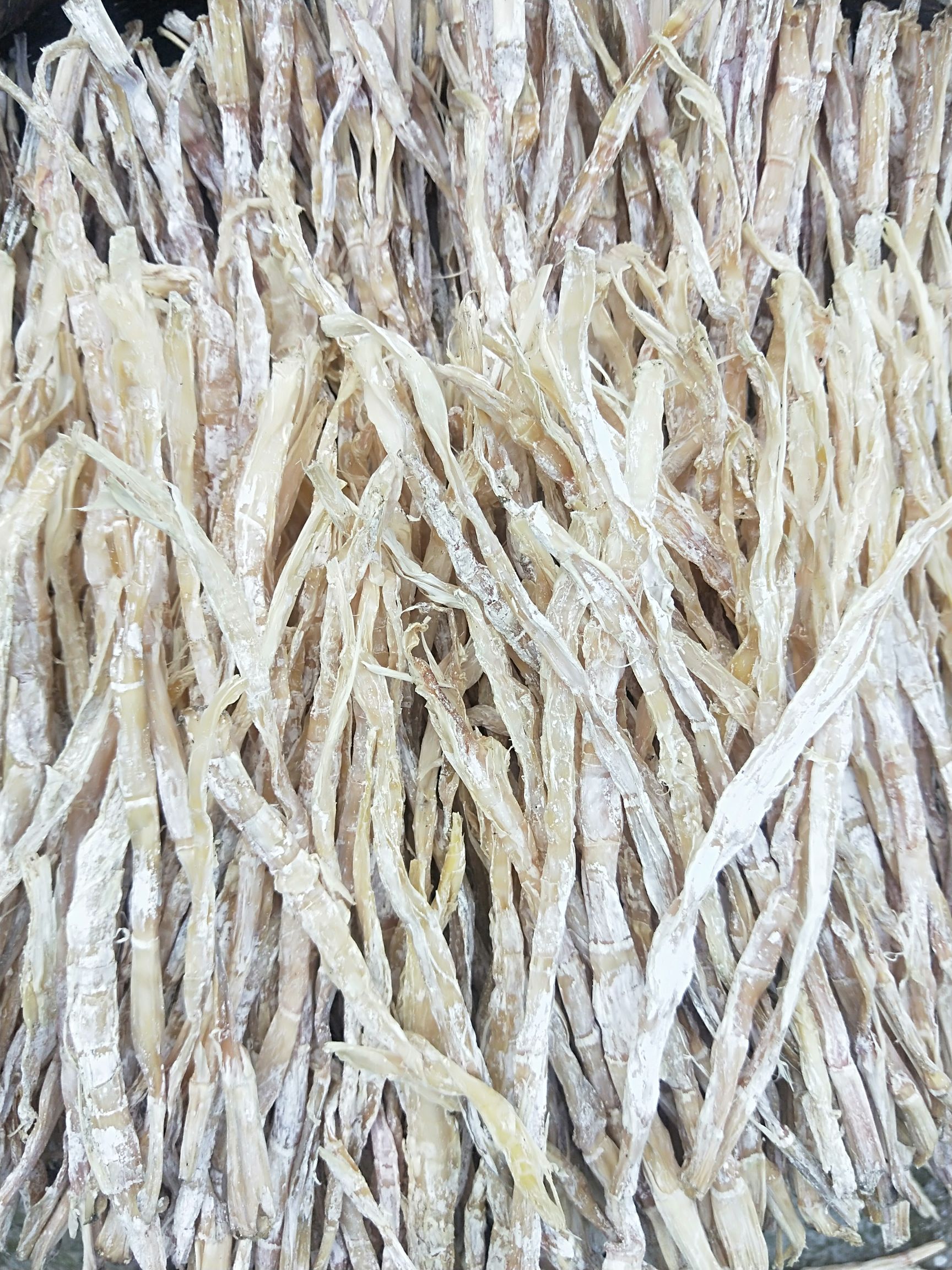 小笋干 水竹笋干,白夹竹笋干