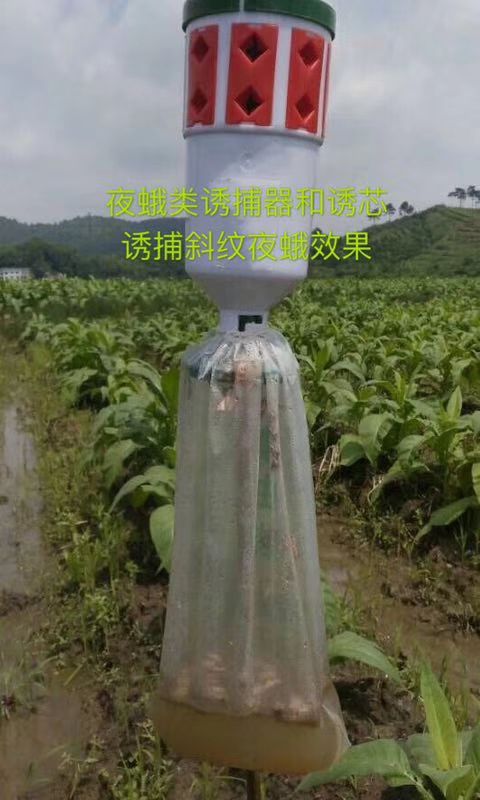 昆虫诱捕器