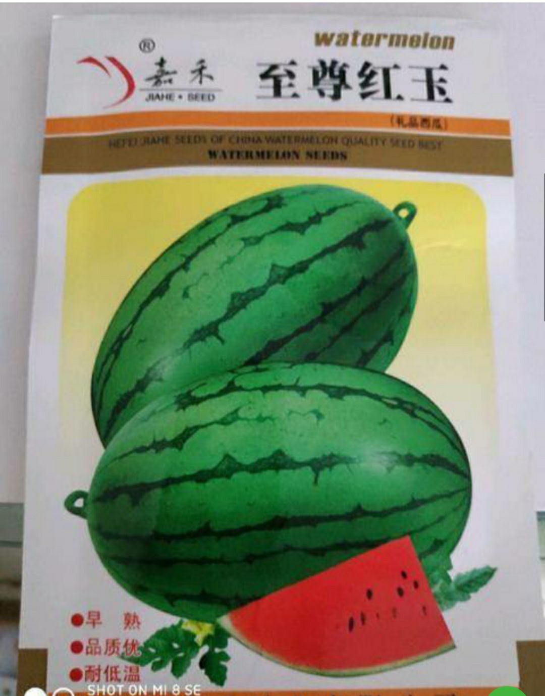 西瓜种子 至尊红玉早熟品种既耐低温又耐高温含糖量14一16度商品性