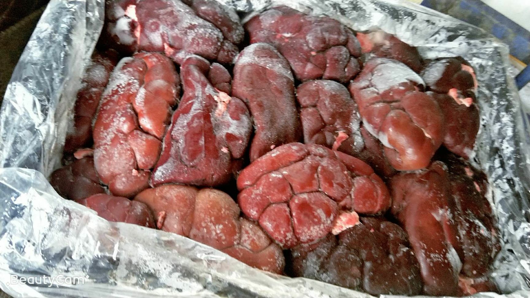 牛腰子 