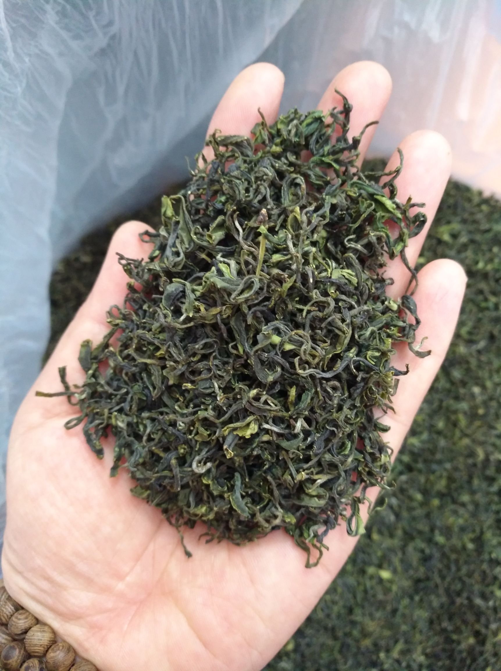 日照充足绿茶2019新茶一芽一豆香型