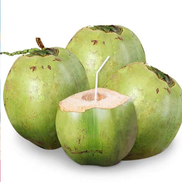 海南带皮椰子新鲜椰子清甜美味可挑老果煲汤