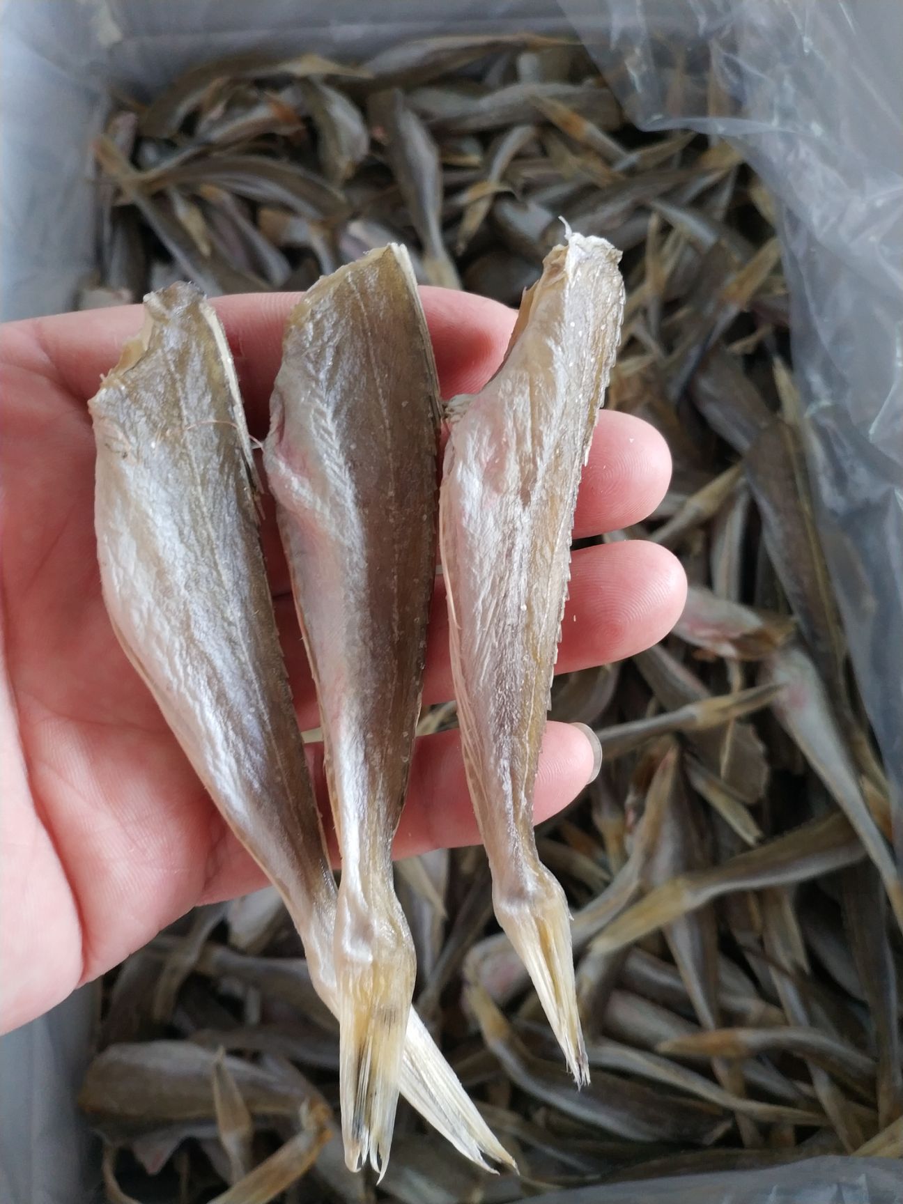 三牙鱼干 鱼干,三牙鱼,海鲜干货