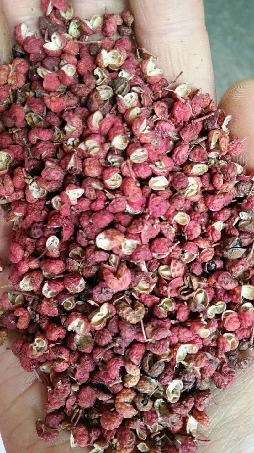 陕西特等大红袍净花椒,开口率90,杂质少