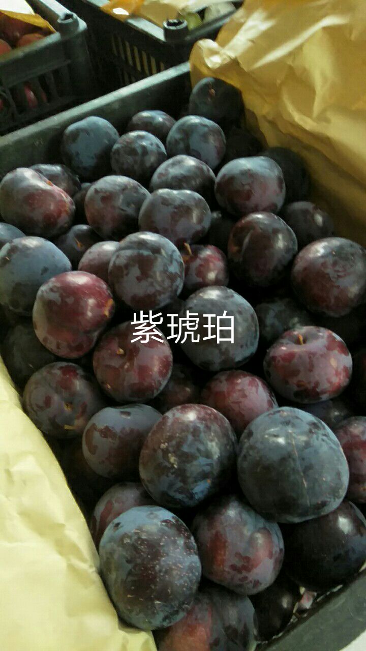 黑布林