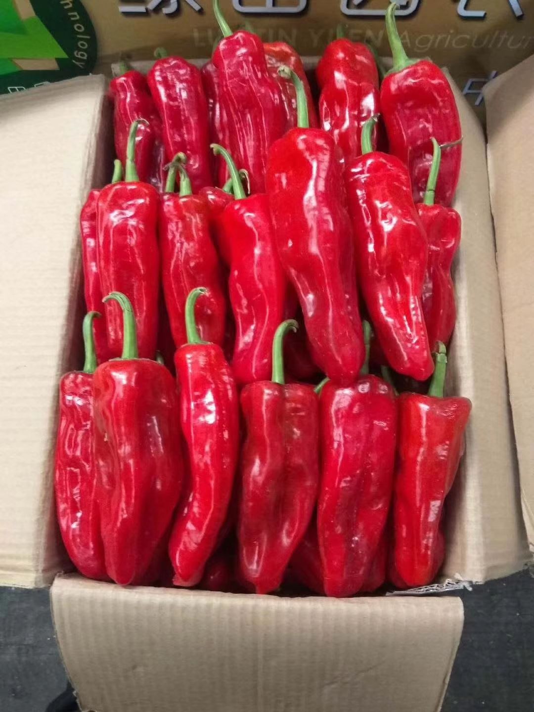 精品红泡椒,质量好价格低