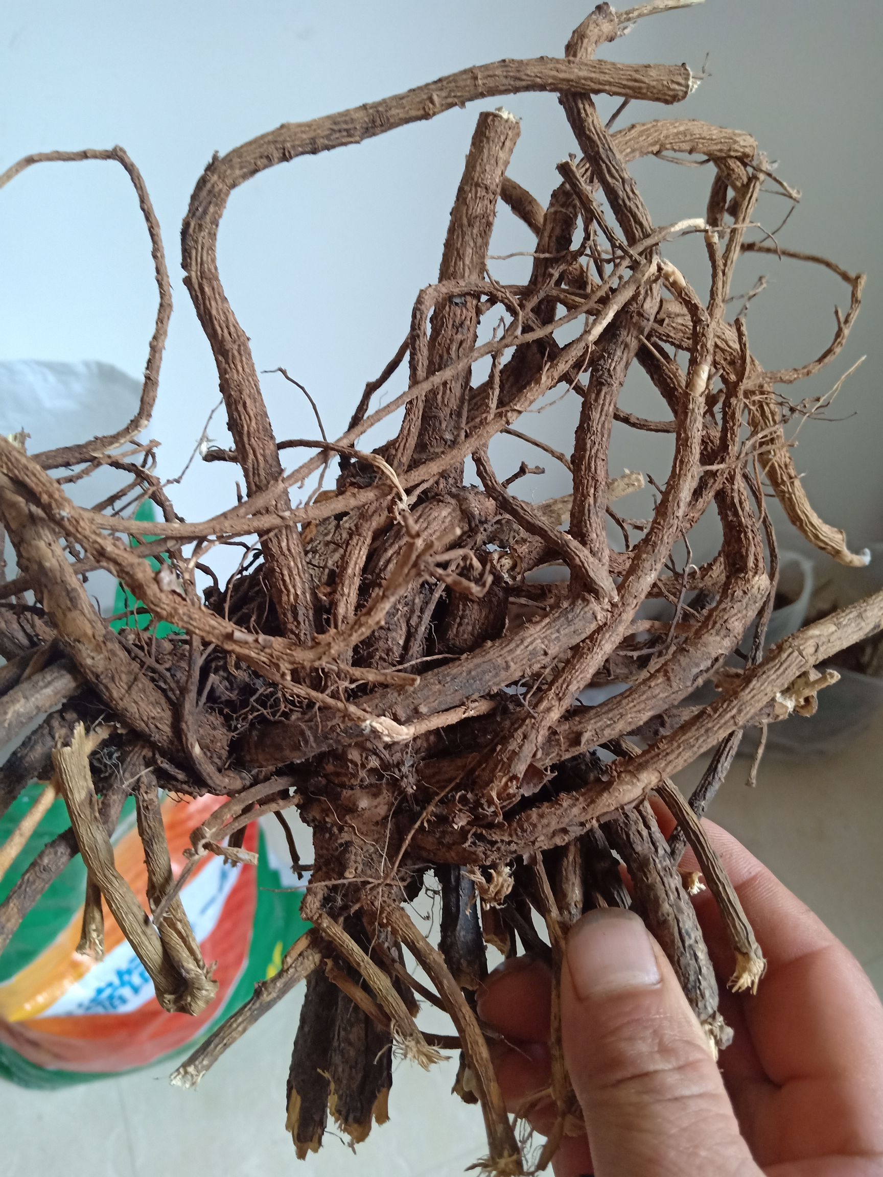 山豆根苗*生山豆根干货