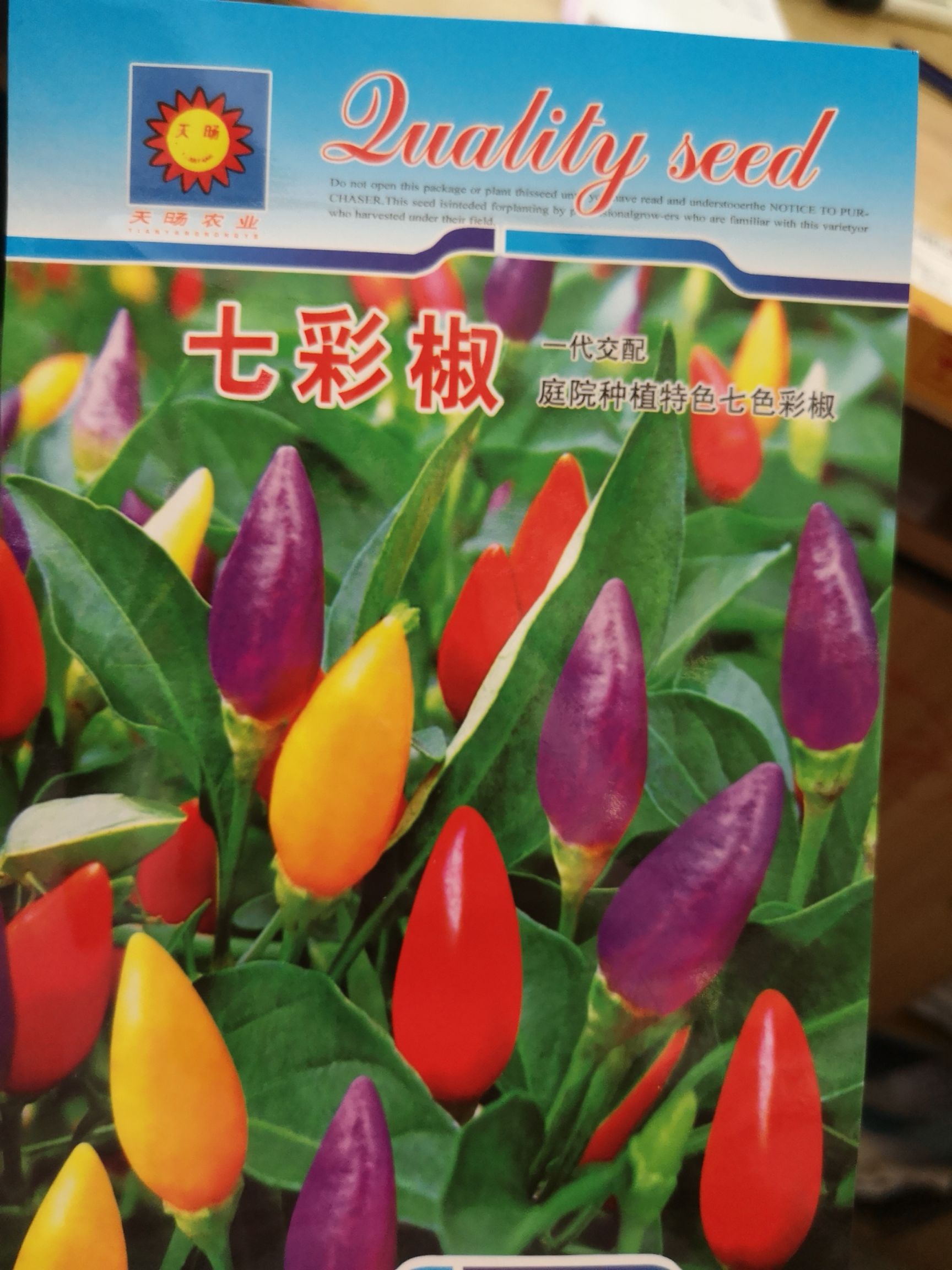 新型七彩辣椒种子四季播种观赏食用农家高产100粒装
