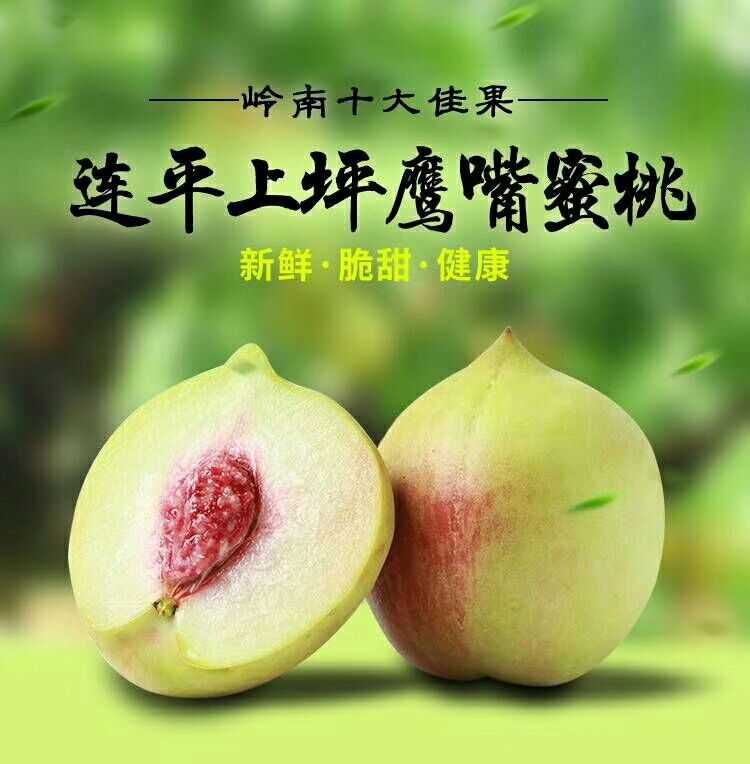 鹰嘴蜜桃 连平上坪鹰嘴桃