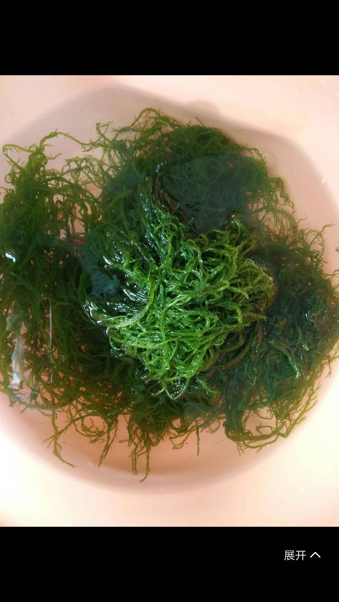 【食用海藻龙须菜5斤】新鲜海草海藻菜海石花菜火锅菜食材