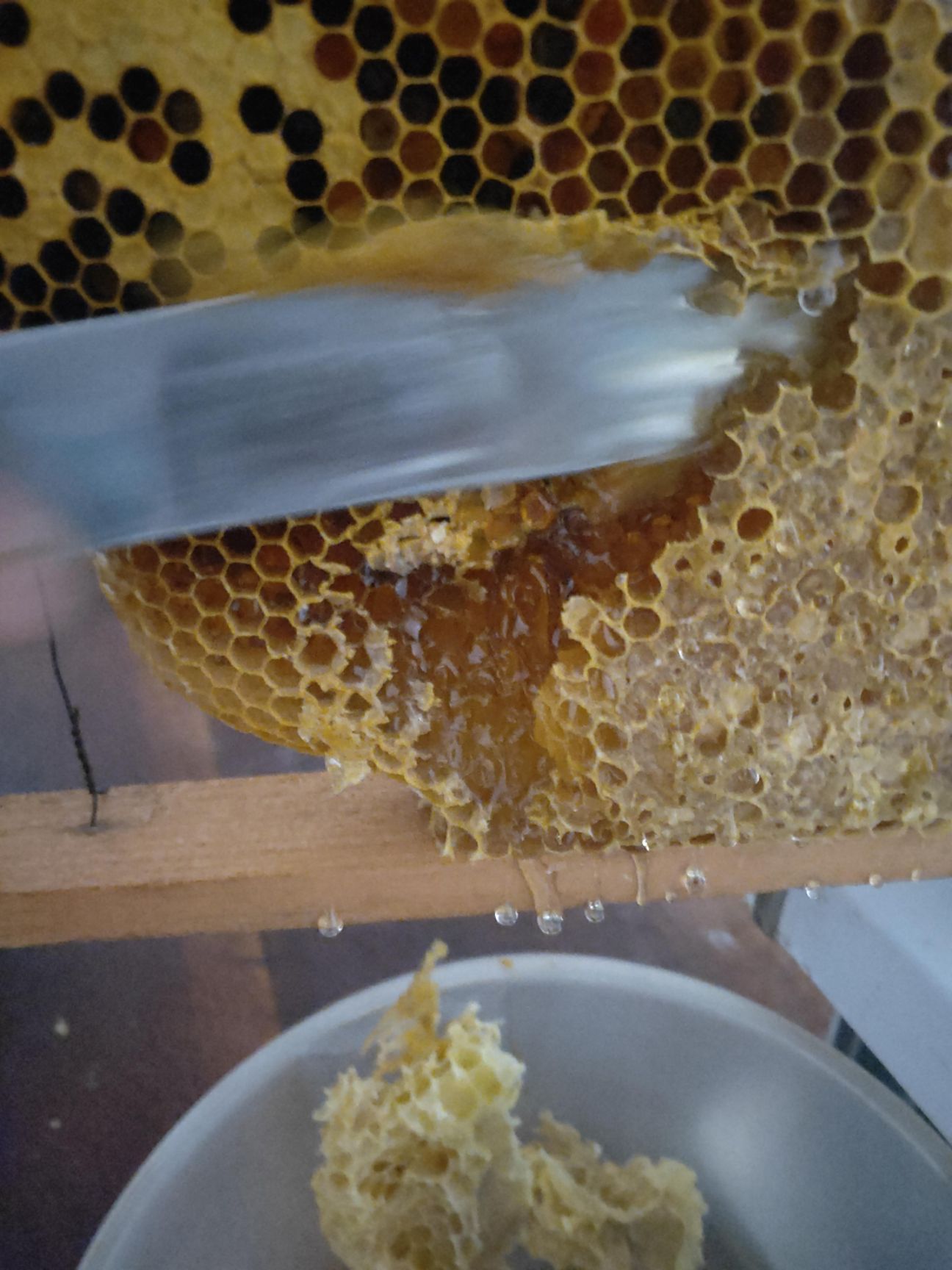 [土蜂蜜批发]土蜂蜜 感受甜蜜蜜,珍惜你的甜蜜。