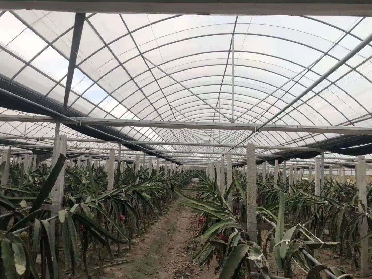 种植大棚 蔬菜 养殖棚专业定制 非常规规划设计