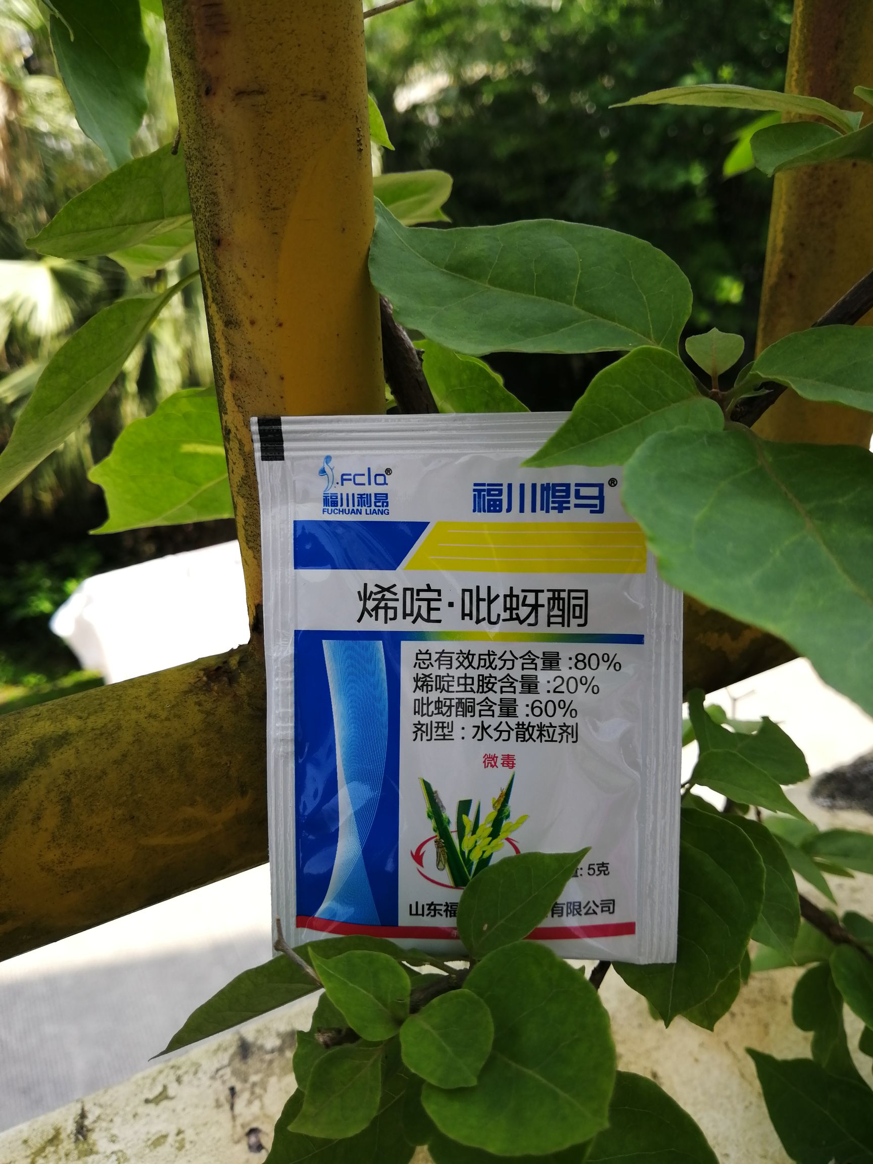 农药杀虫剂80%烯啶吡蚜酮 蚜虫飞虱蓟马黑刺粉虱专用