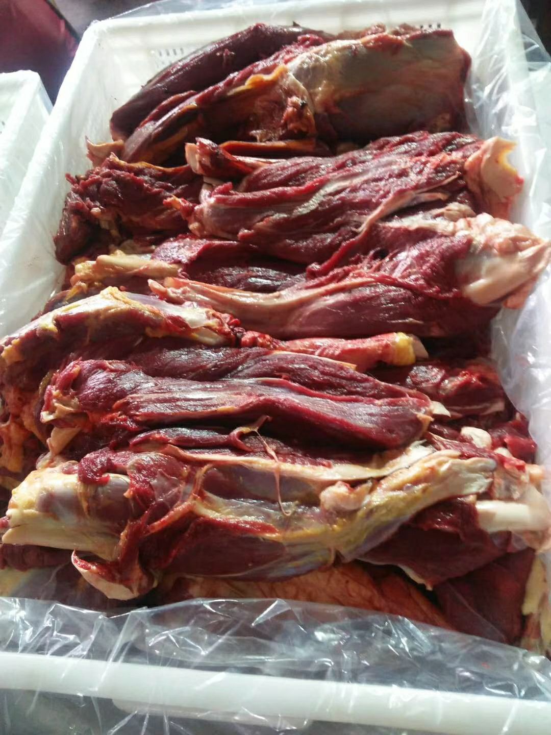 马肉 马腱子