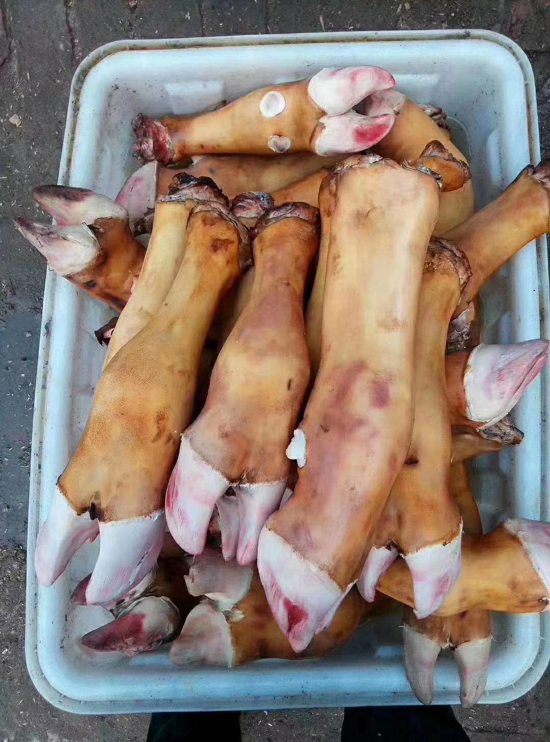 山东滨州阳信县 火烤牛蹄