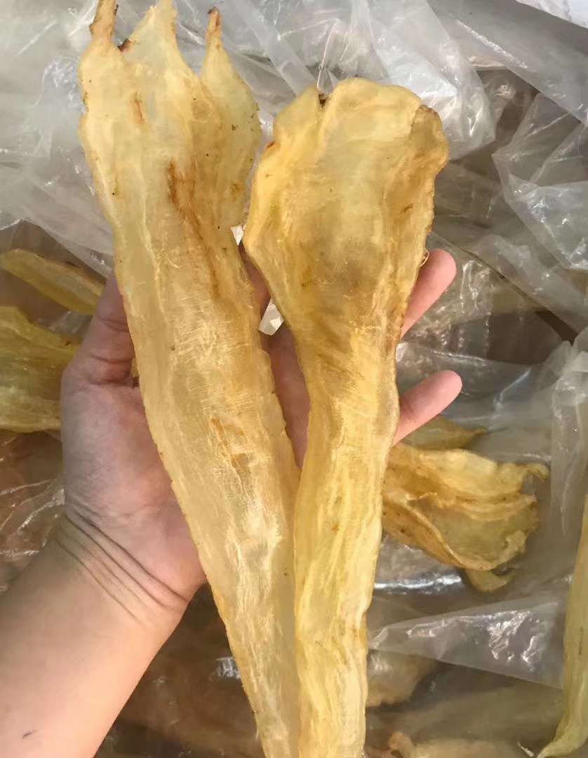 鱼胶13头北海胶又称阴阳肚