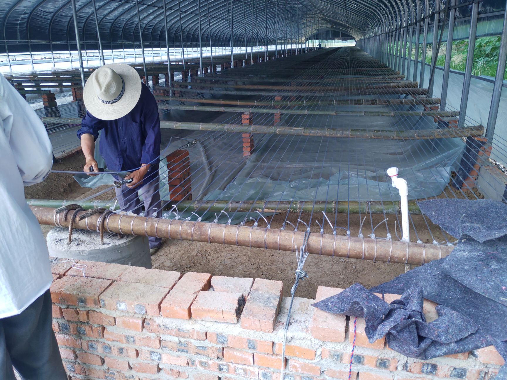 [养殖大棚批发]养殖大棚 养鸭大棚养鹅大棚价格50元\/个 1个起批