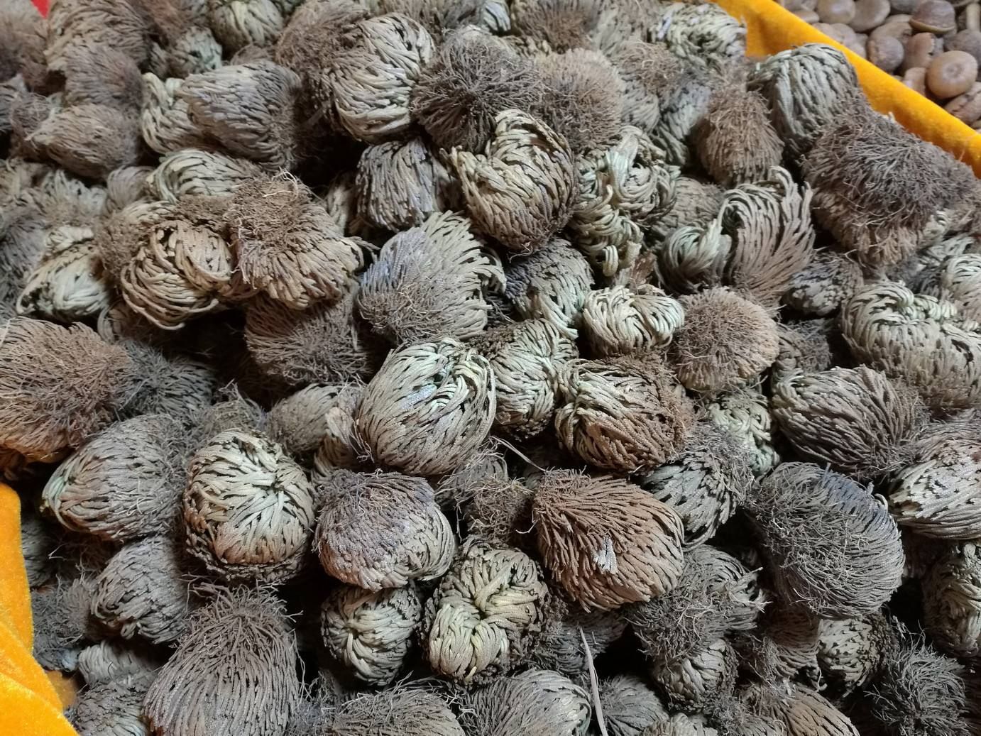 卷柏一把抓,老虎爪,长生草