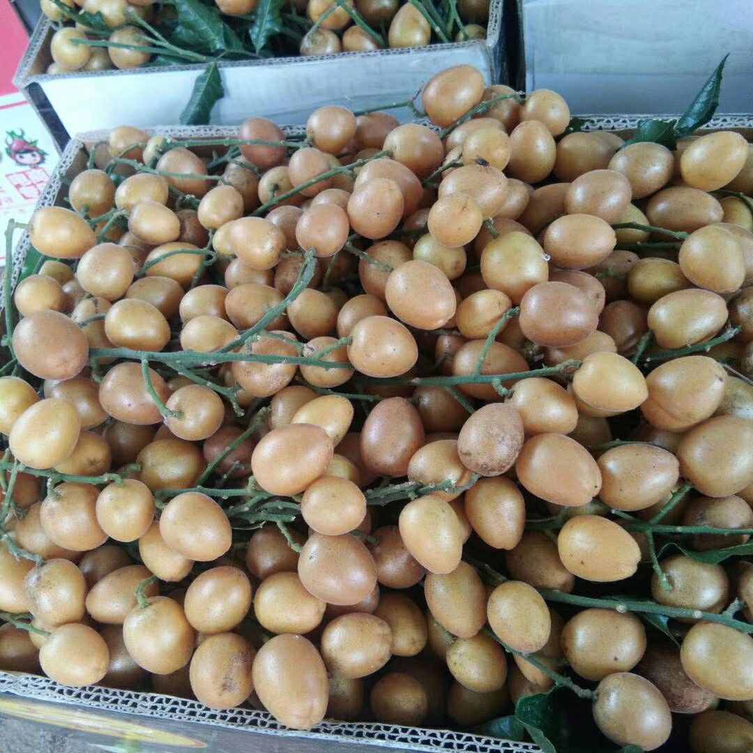 无核黄皮果