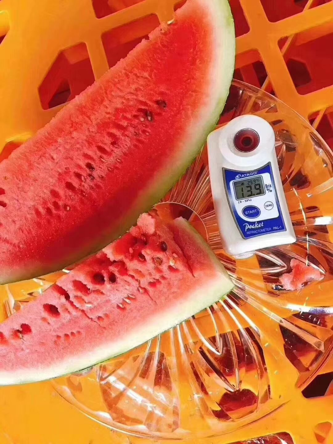 新疆15斤打底西瓜