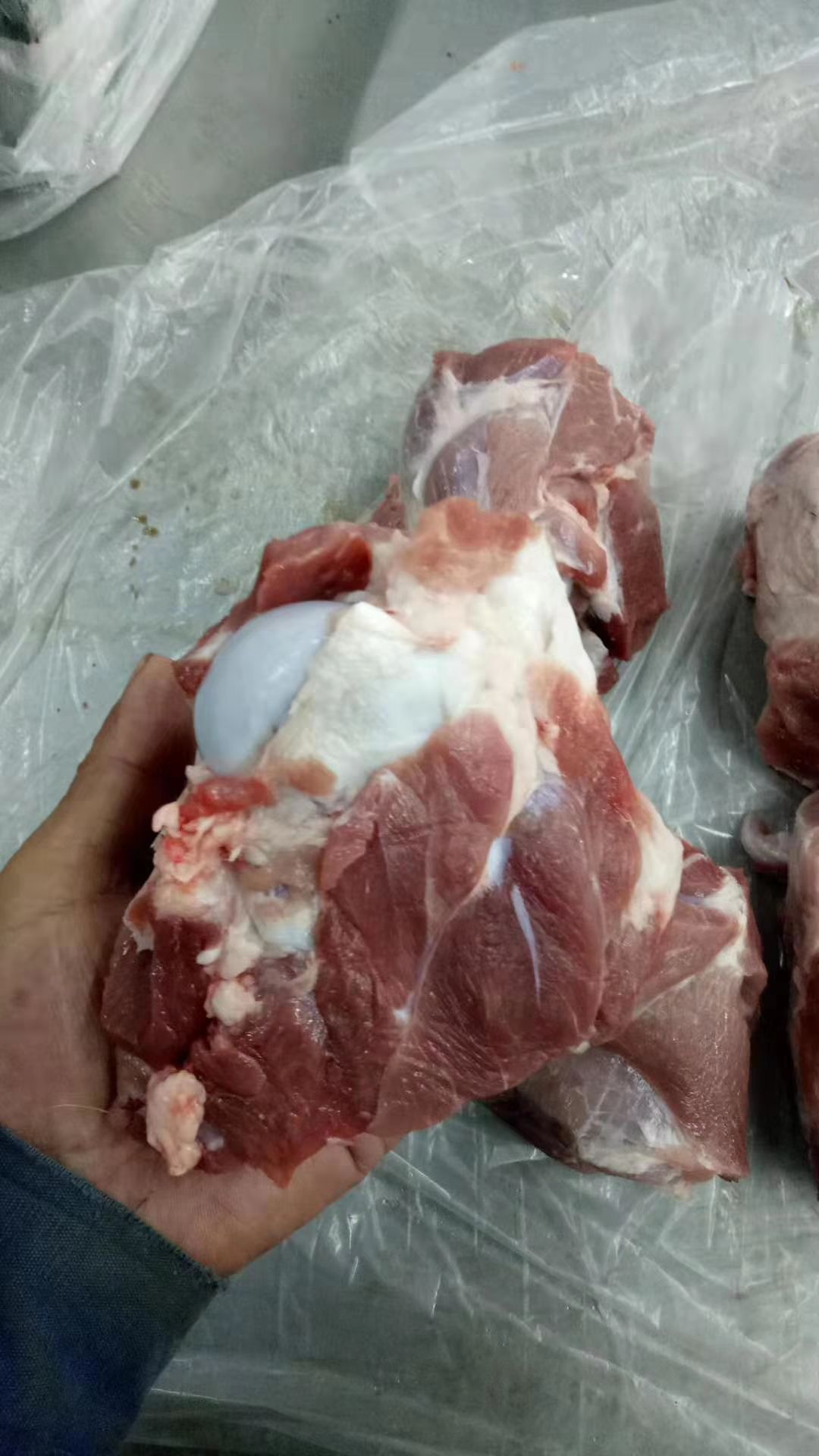 猪排骨 肉拐骨 前骨块