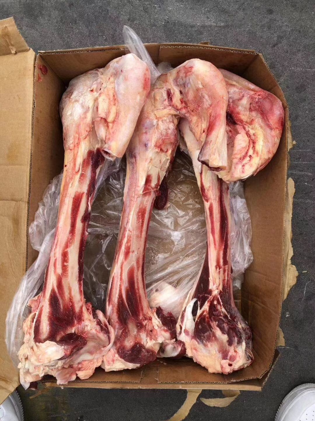 牛骨 牛脊骨