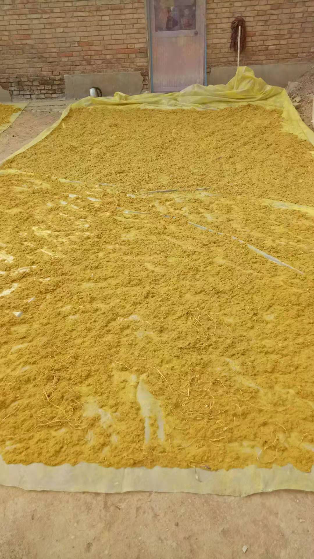 纯天然*生蒲黄,货真价实!真材实料.