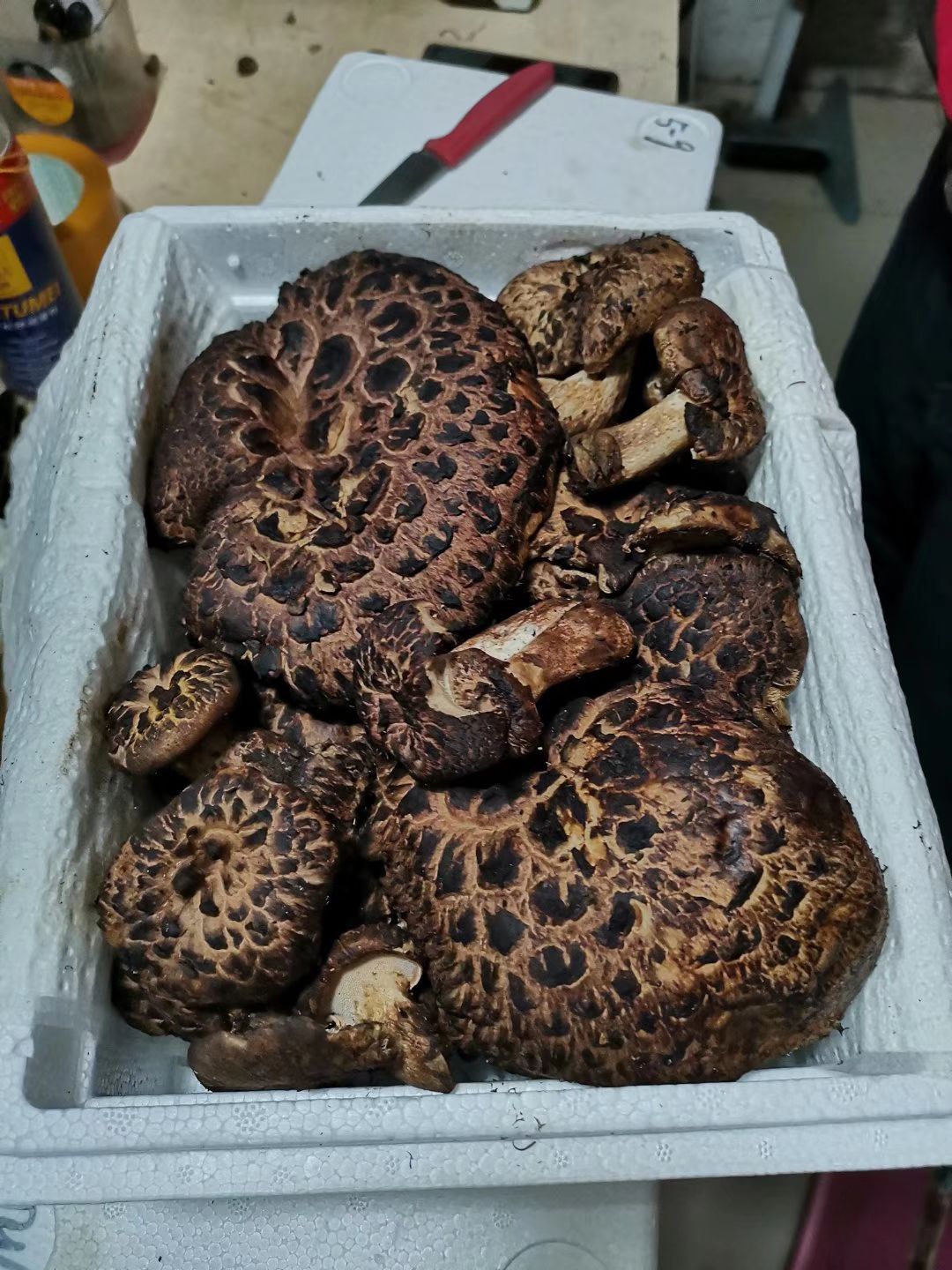 黑虎掌菌 干货 野生