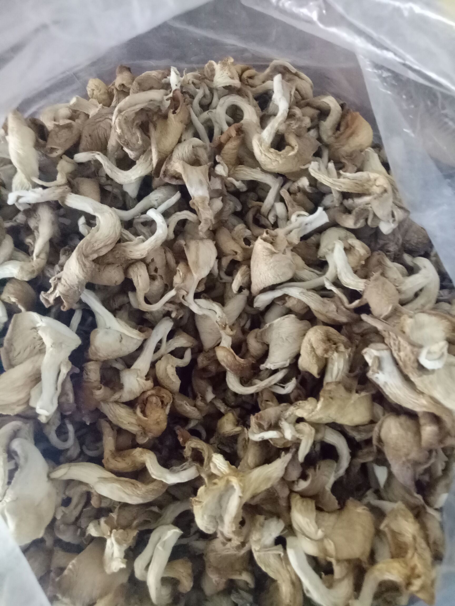 [蘑菇批发] 快递包邮 白蘑菇干价格43元/斤 - 惠农网