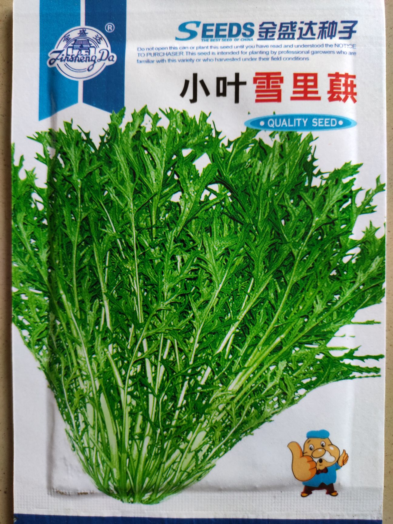 江苏省宿迁市沭阳县芥菜种子