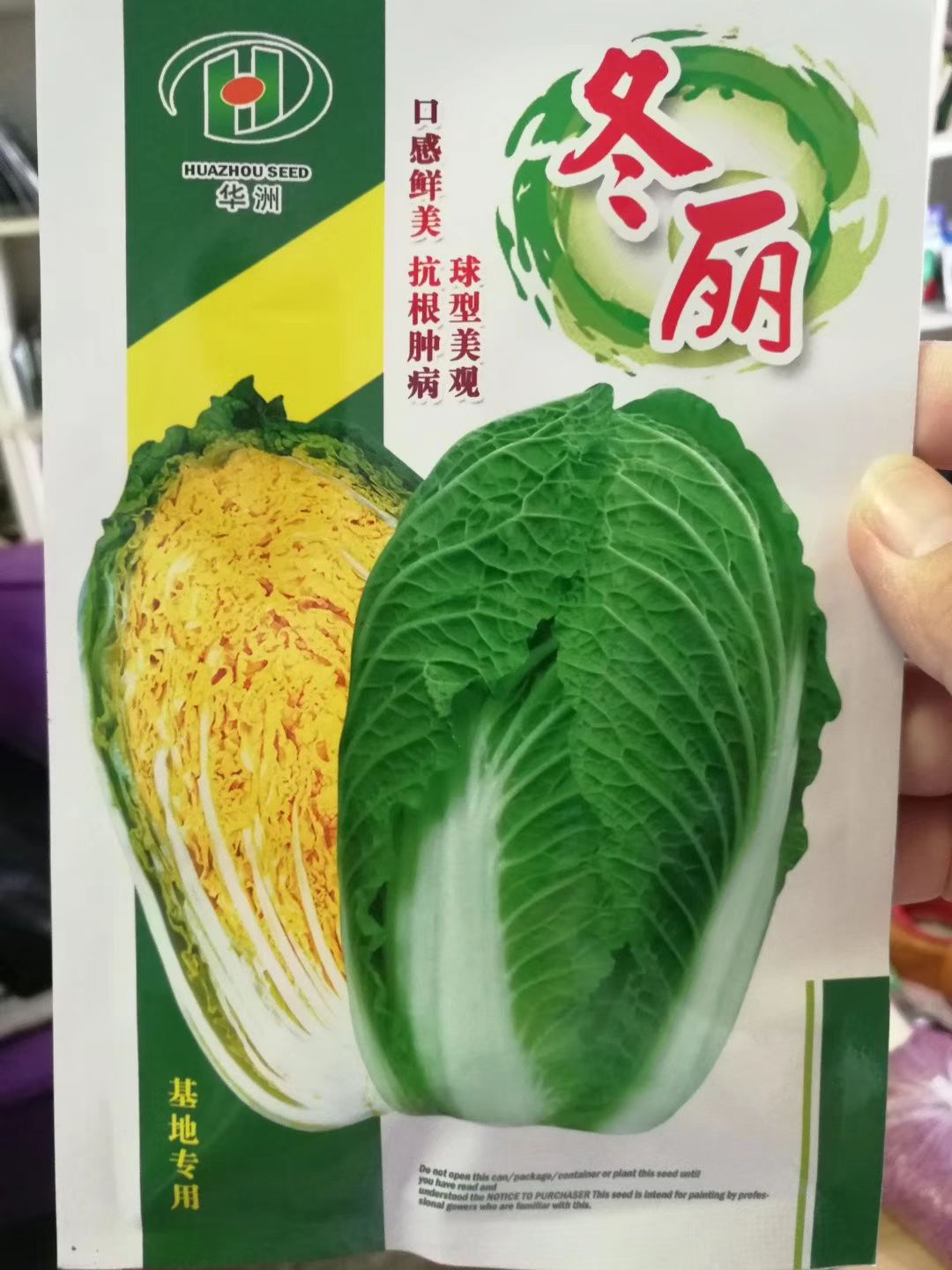 黄心白菜种子