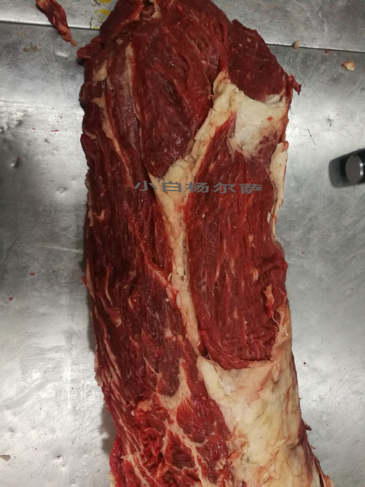 牛肉 牛里脊肉 新疆塔城市 50元一斤