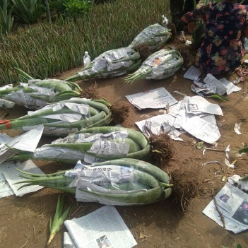 农产品批发供应商刘进进 - 惠农网电脑版