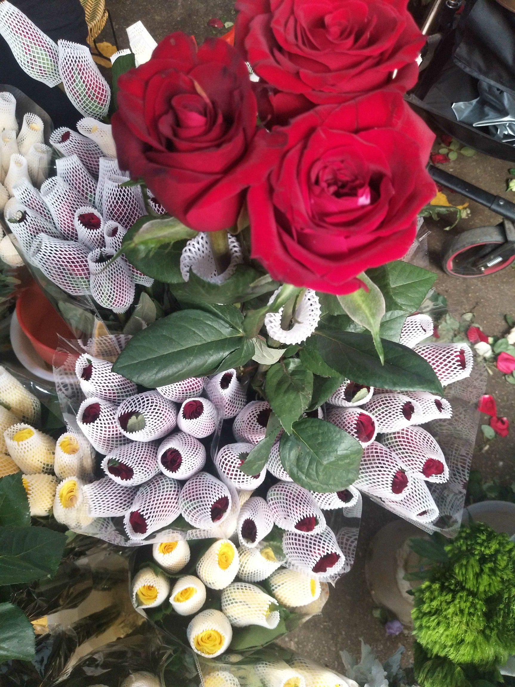 玫瑰切花 红玫瑰卡罗拉鲜切花云南基地代办花市代拍支持一件代发批发