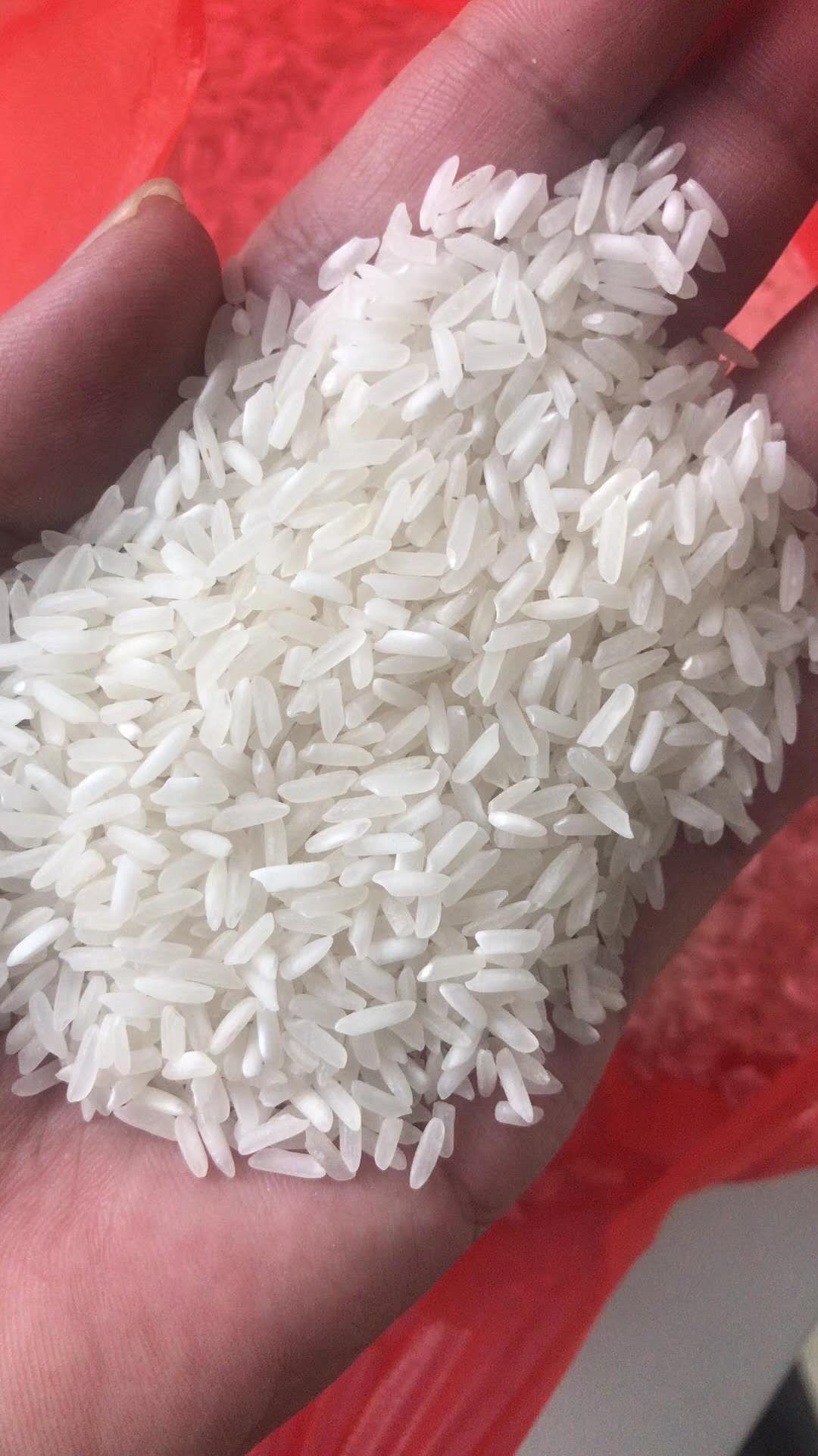 香米 巴基斯坦白米