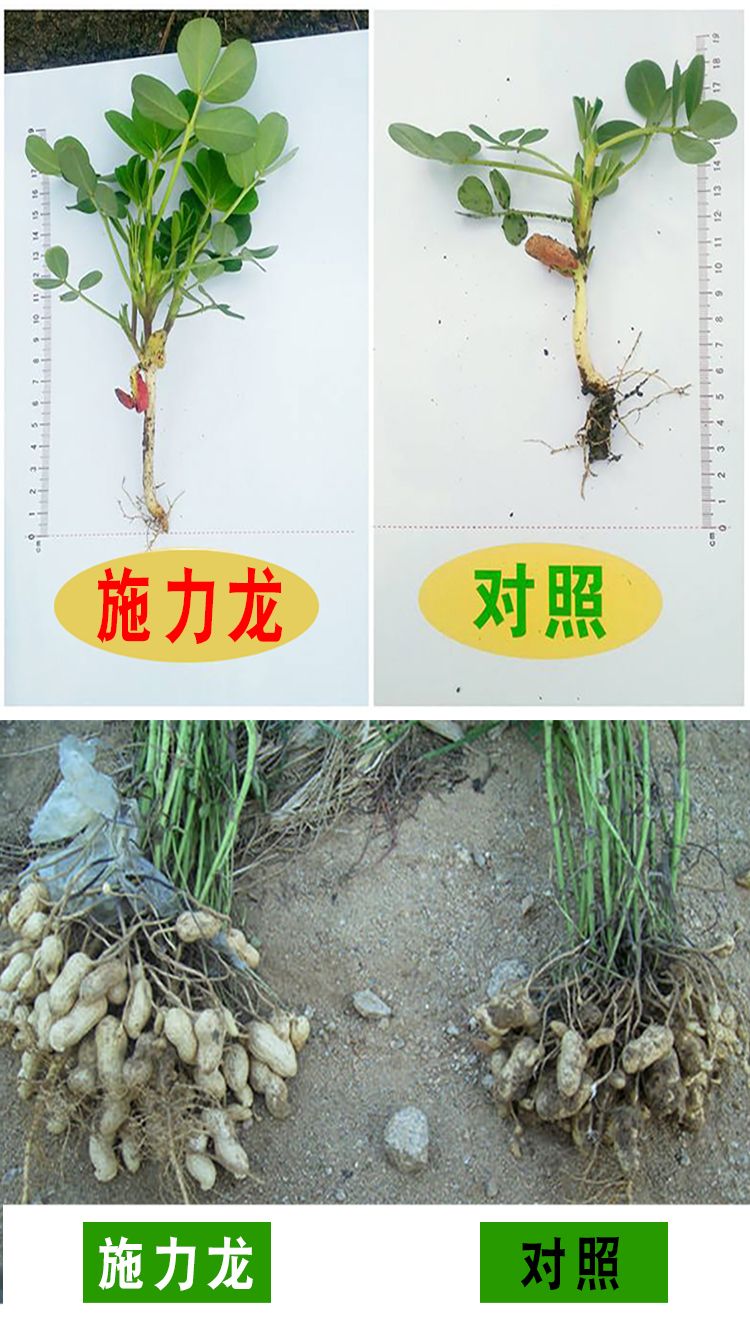 氨基酸肥料 花生三遍药花生高产套餐叶面肥控旺营养促针防病害膨果抗