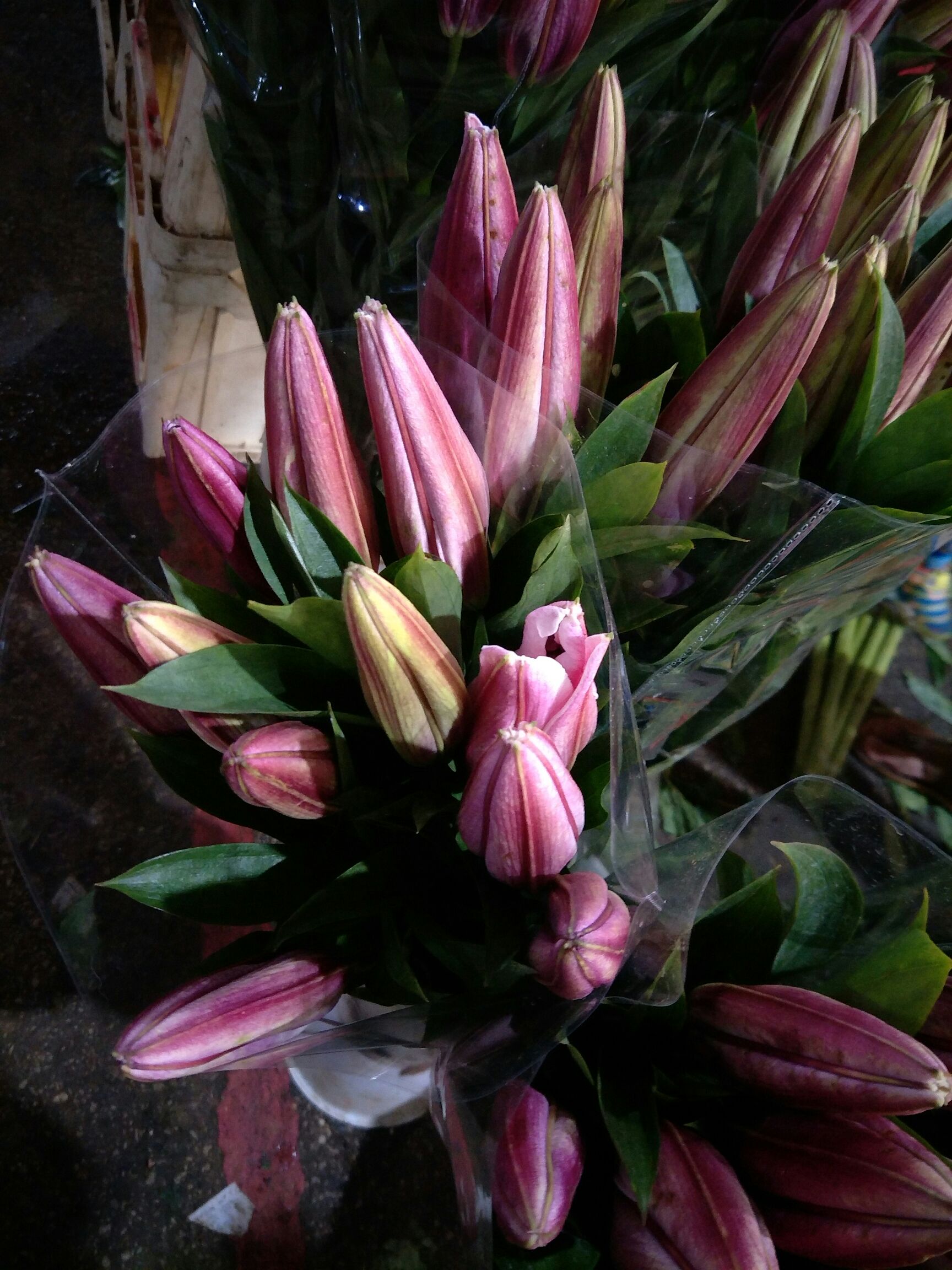 百合花 【百合的花语】百年好合,美好家庭,伟大的爱,深深祝福