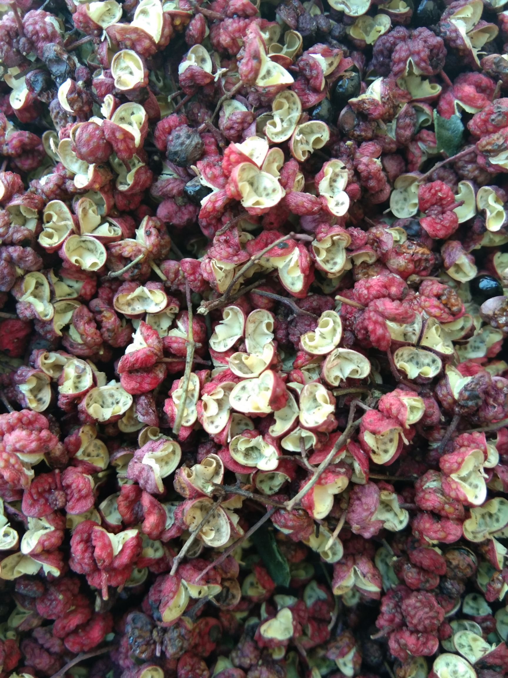 好货品紧缺.丰收的季节,现用和囤货都是正确的选择