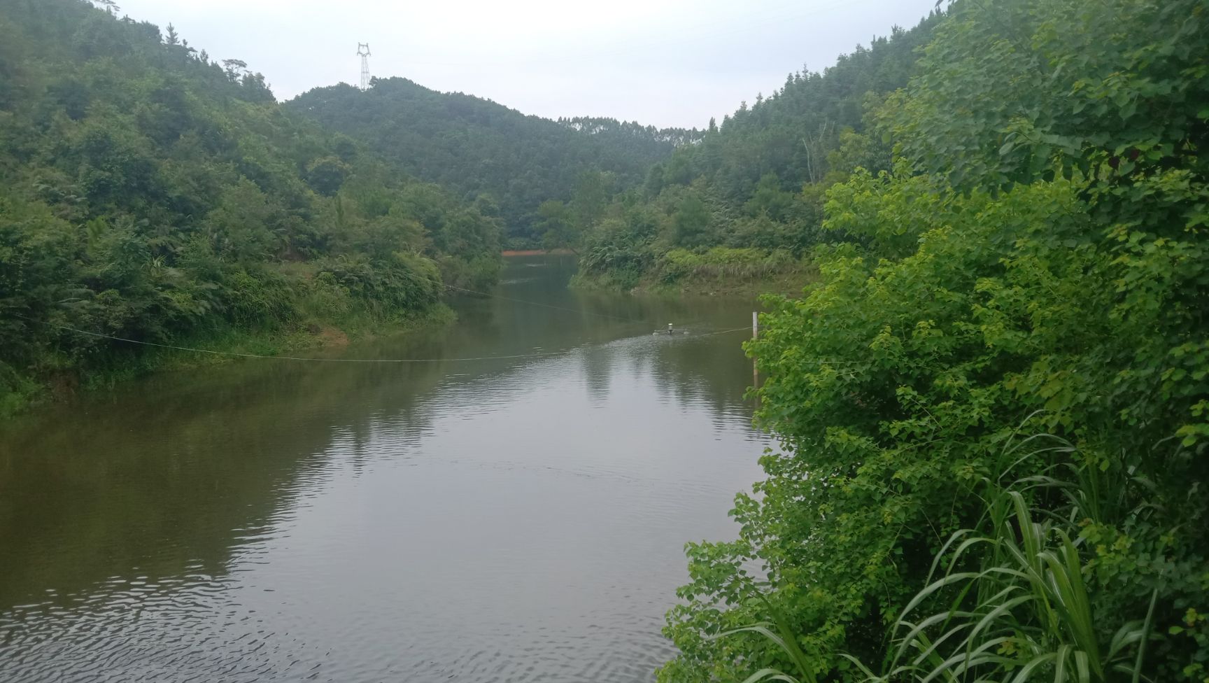 本人在怀集有大量山地,水库,鱼塘出租!投料,养鸭,养猪均可