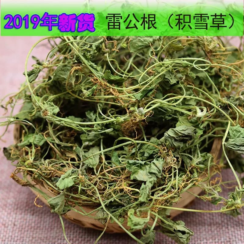 积雪草*生 中草药材雷公根新鲜干货崩大碗马蹄草灯新鲜 干货
