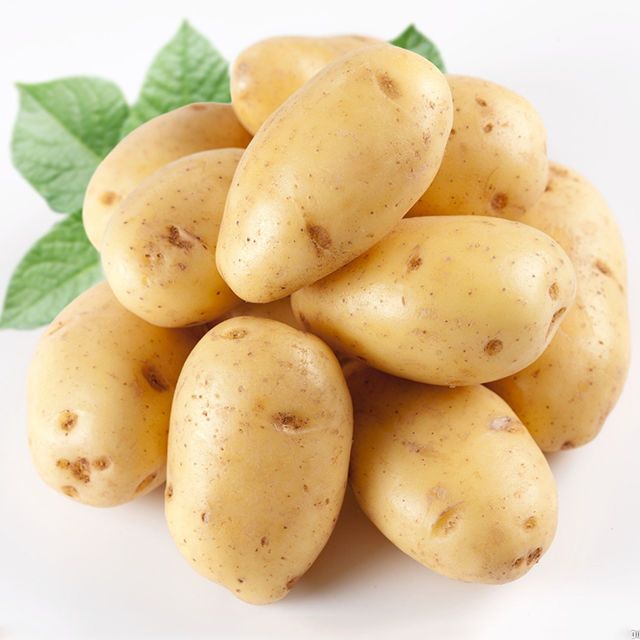 品种名:荷兰15号土豆 单颗重:2~4两 青头有无:无青头