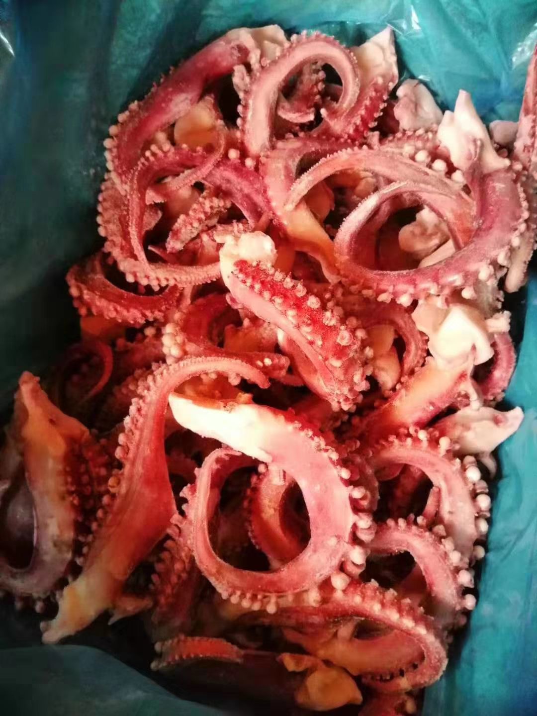 秘鲁:章鱼脚脆口须10斤起批24小时发货