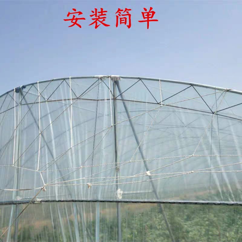大棚防风网挡风抗风大棚网沿海种植养殖抗晒抗风化尼龙加粗大孔