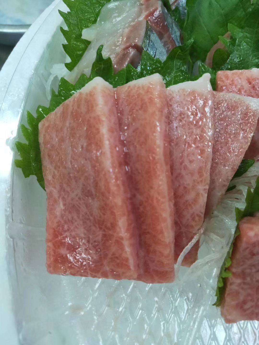 金枪鱼 蓝鳍大腹 超低温toro