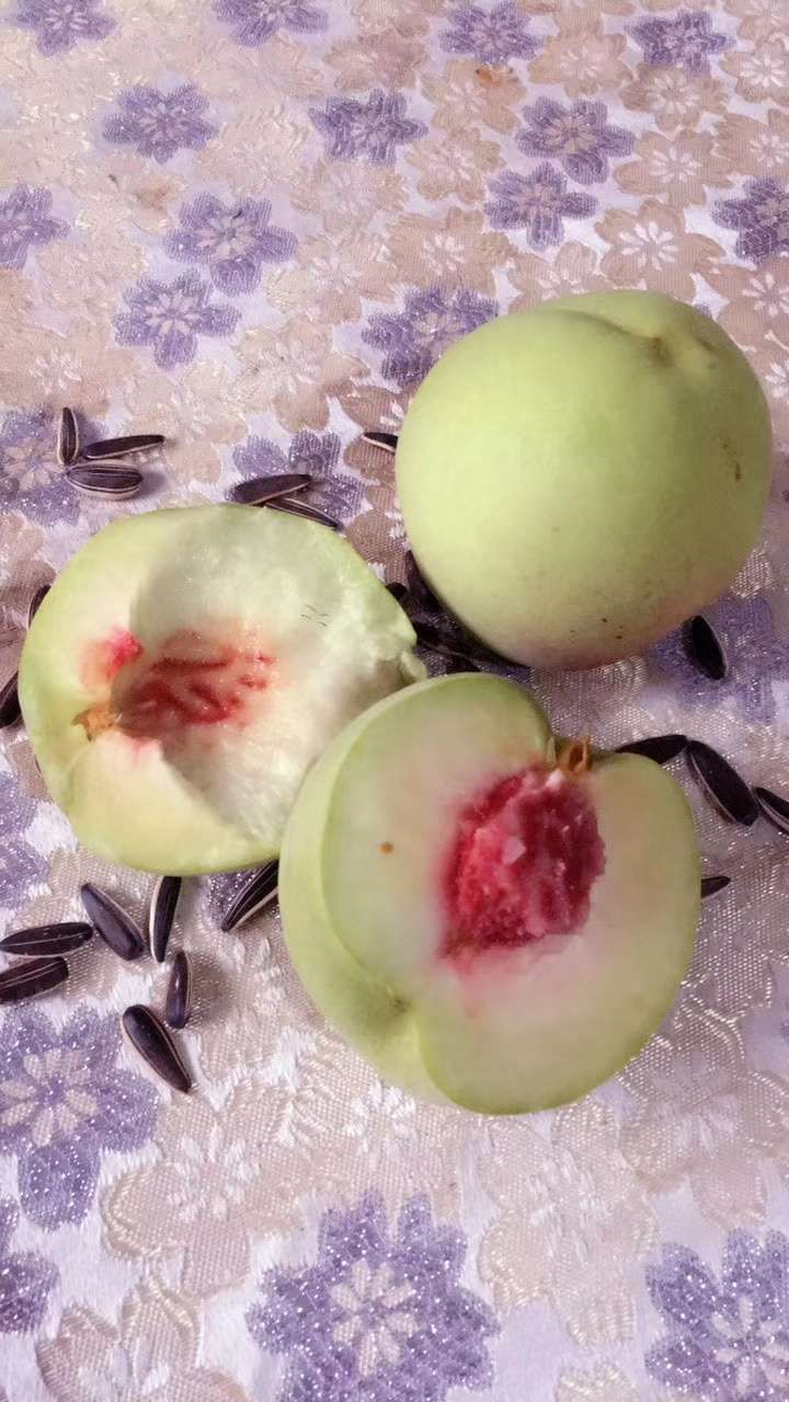 尤塘大青桃